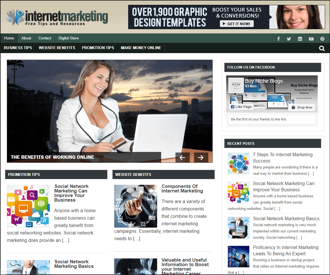 Internet Marketing PLR Pre-made Affiliate Niche Website/Blog
