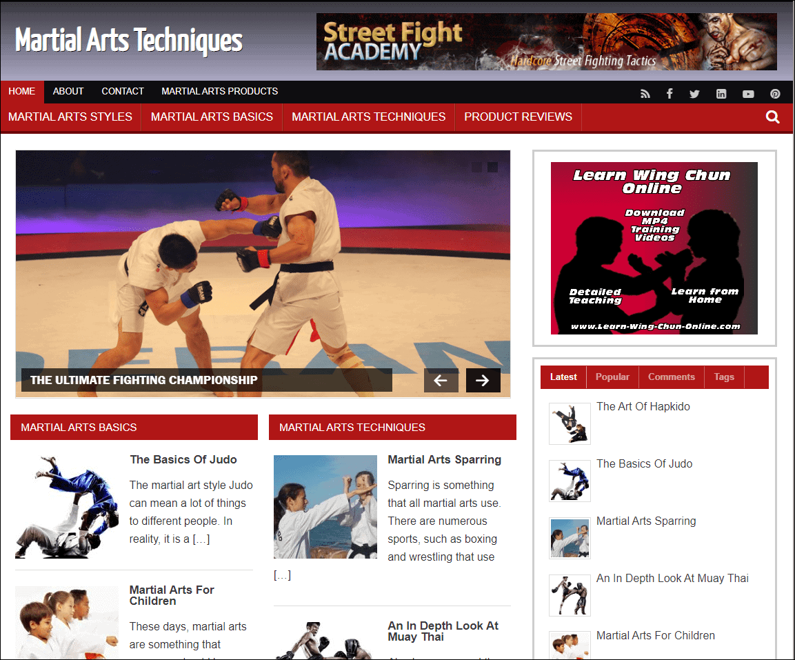 Martial Arts Pre-made Affiliate Niche Website/Blog