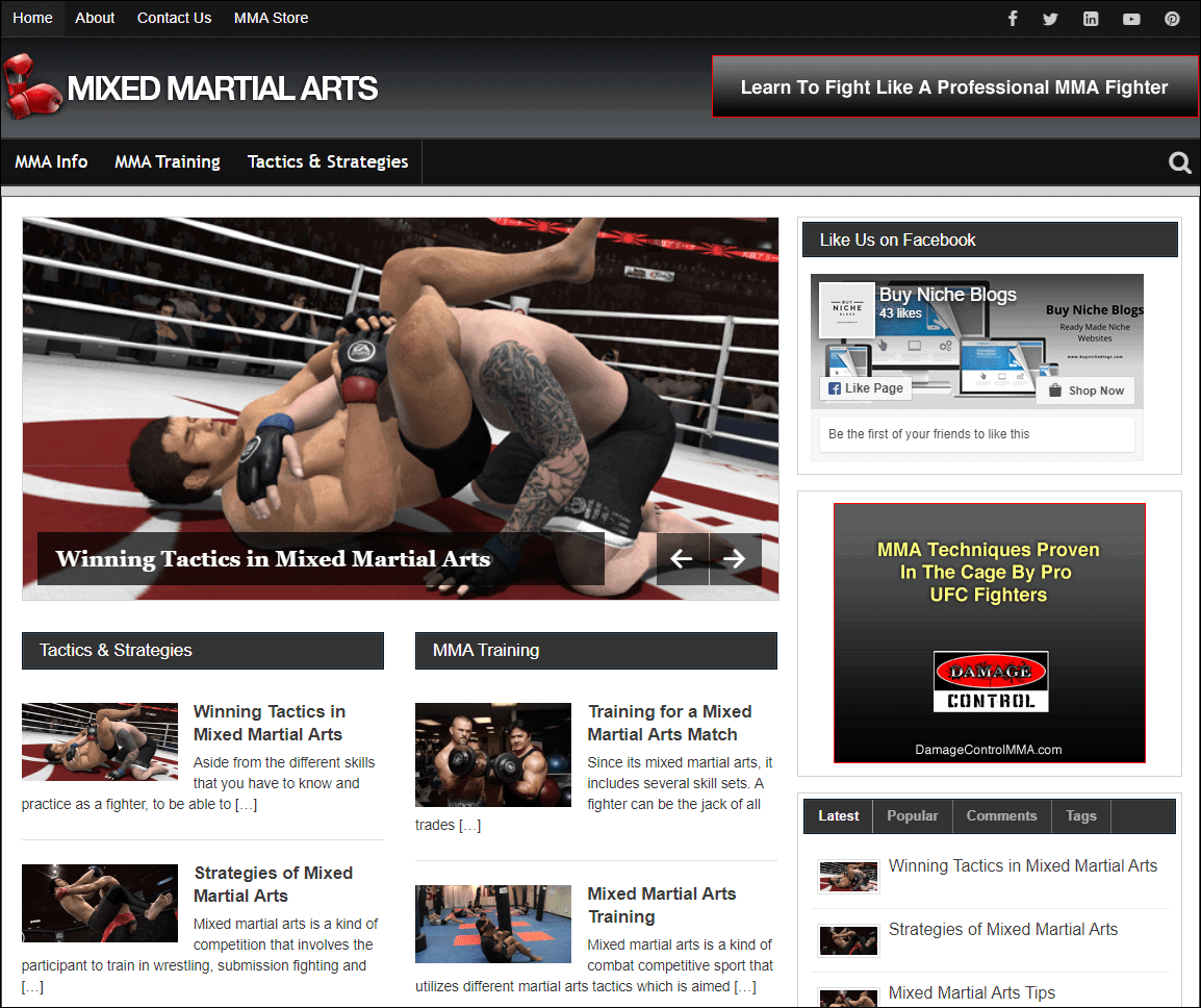 Mixed Martial Arts Pre-made Affiliate Niche Website/Blog