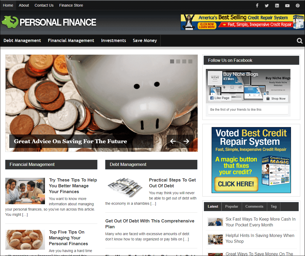 Personal Finance Pre-made Niche Website/Blog