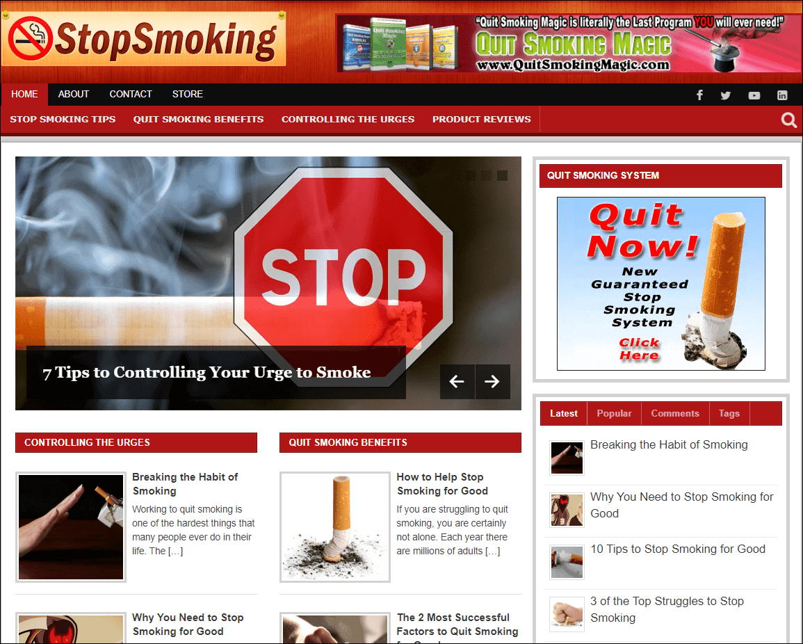 Stop Smoking Pre-made Niche Website/Blog