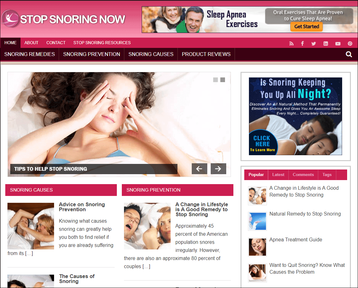 Stop Snoring Pre-made Affiliate Niche Website/Blog