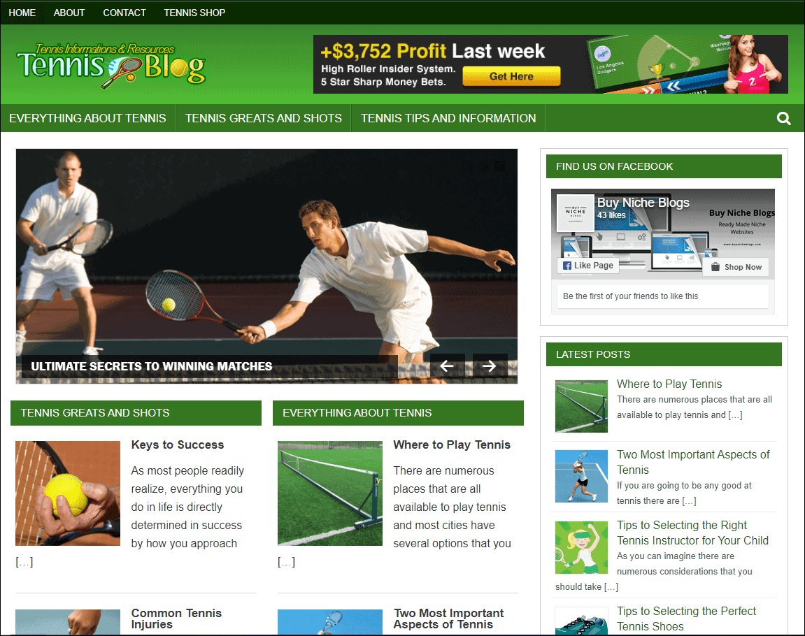 Tennis Pre-made Niche Website/Blog