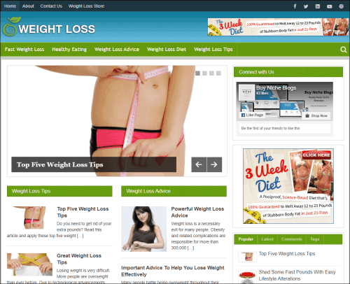 Weight Loss Pre-made Affiliate Niche Website/Blog