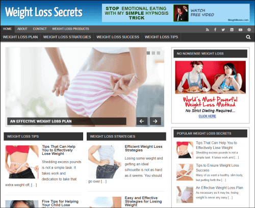 Weight Loss Pre-made Turnkey Affiliate Niche Website/Blog