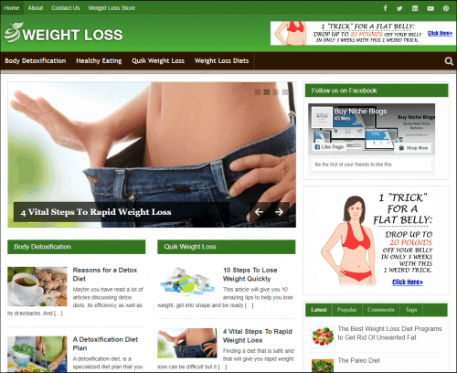 Weight Loss Pre-made Niche Website/Blog