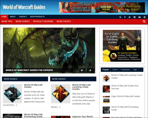 World of Warcraft Pre-made Niche Website/Blog