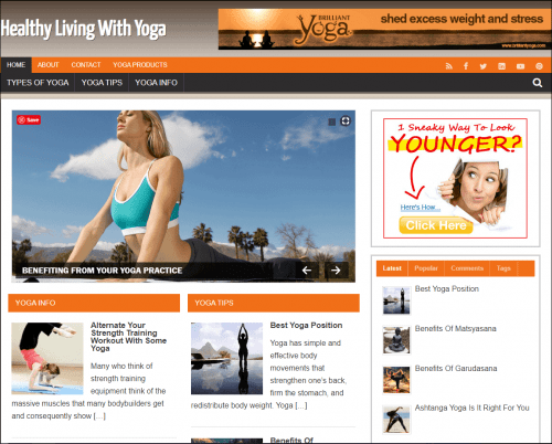 Yoga Niche Turnkey WordPress Pre-made Niche Website/Blog