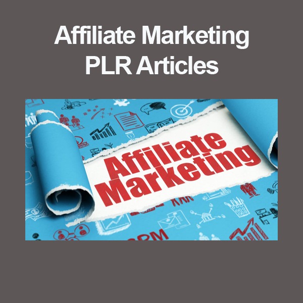 Affiliate Marketing PLR Articles