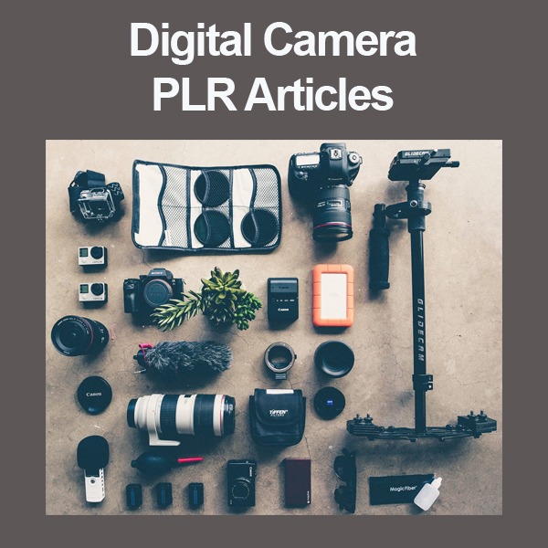 digital camera plr articles