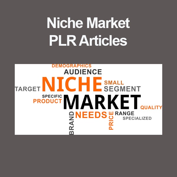 niche market plr articles