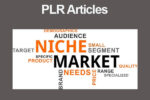 niche market plr articles