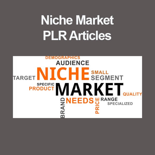 niche market plr articles