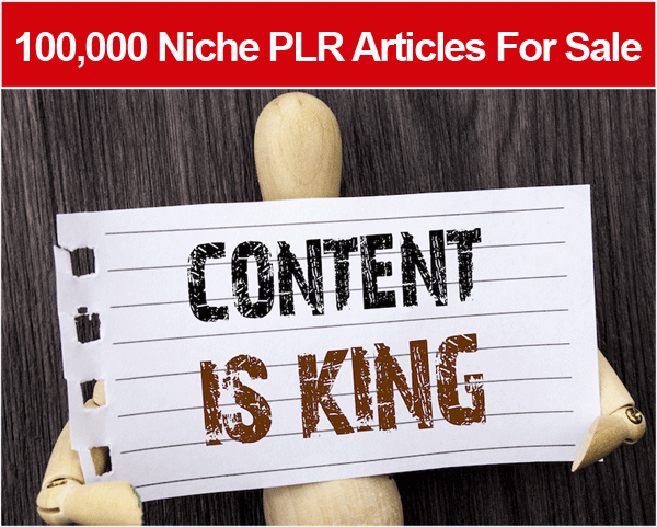 what are plr articles