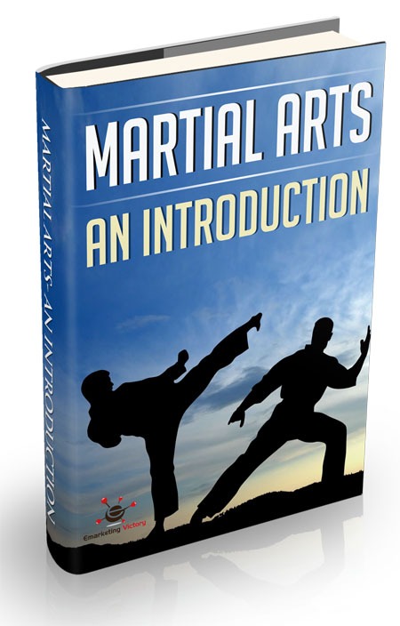 Martial Arts An Introduction eBook