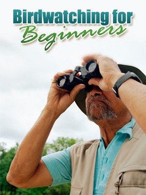 Birdwatching For Beginners