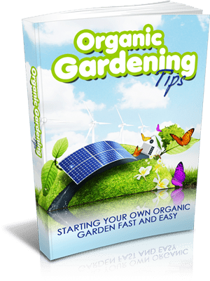 Organic Gardening Tips