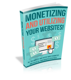 Monetizing And Utilizing Your Website Ebook