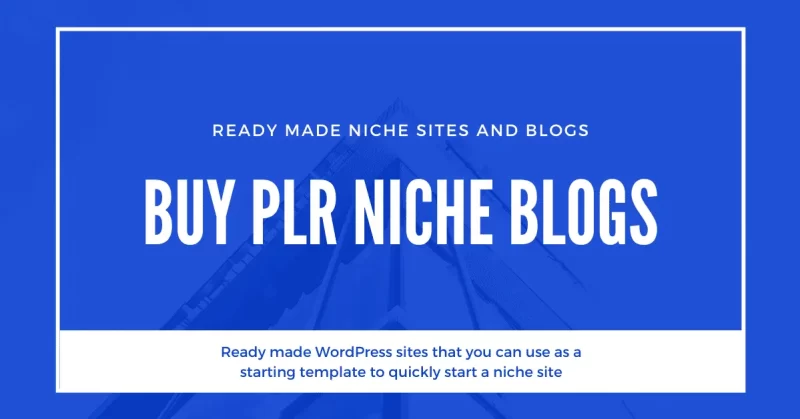 buy plr niche blogs